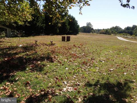 7459 Harmony Rd, Preston, MD 21655 photo 20