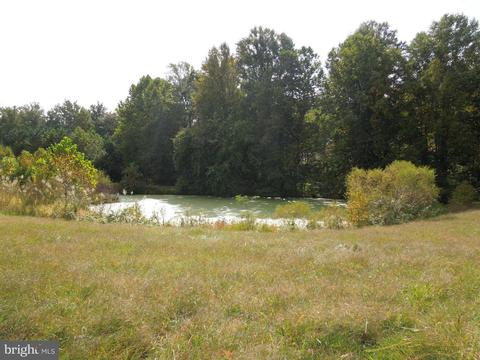 7459 Harmony Rd, Preston, MD 21655 photo 26