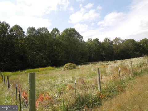 7459 Harmony Rd, Preston, MD 21655 photo 24