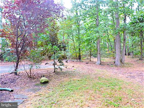85 Richter Rd, Tabernacle, NJ 08088 photo 4