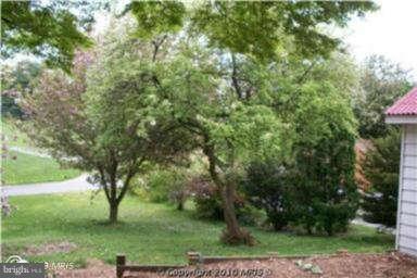 45 Webster St, Westminster, MD 21157 photo 4