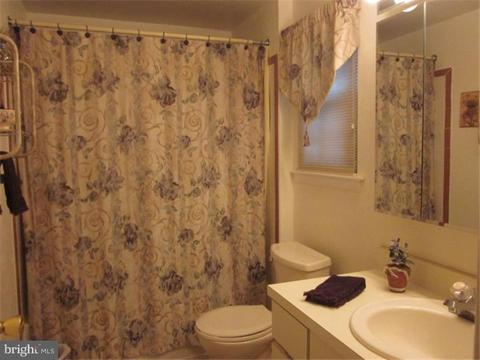 145 Squirrel Tree Ln, Mount Laurel, NJ 08054 photo 16