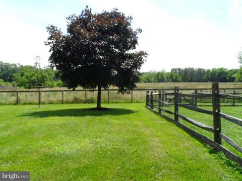 1397 Old Telegraph Rd, Warwick, MD 21912 photo 26