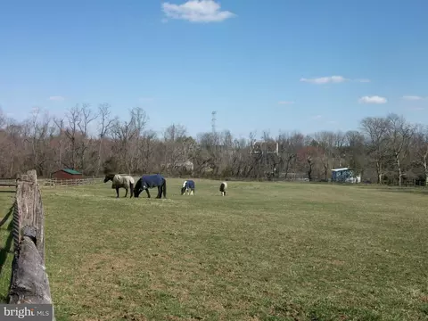 1480 Old Telegraph Rd, Warwick, MD 21912 photo 28