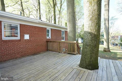 11508 Soward Dr, Silver Spring, MD 20902 photo 9