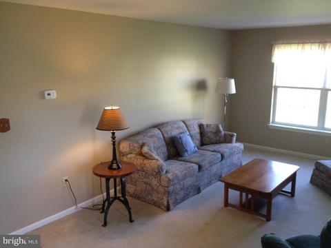 19 Tumbling Run, Lititz, PA 17543 photo 4