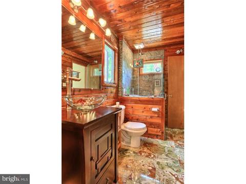 117 Mail Route Rd, Sinking Spring, PA 19608 photo 15