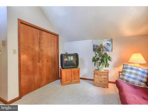 117 Mail Route Rd, Sinking Spring, PA 19608 photo 12