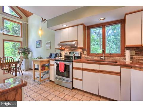 117 Mail Route Rd, Sinking Spring, PA 19608 photo 5