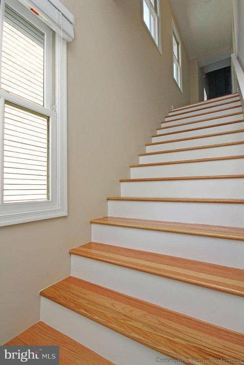 243 6th St, Frederick, MD 21701 photo 12