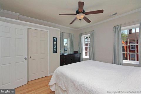 243 6th St, Frederick, MD 21701 photo 14
