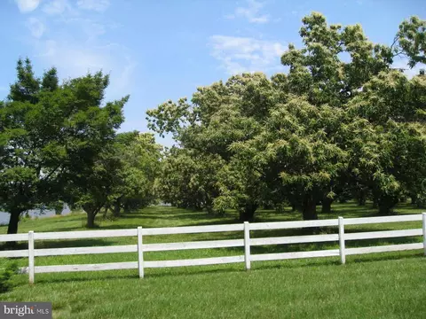 9784 Tilghman Island Rd, Mcdaniel, MD 21647 photo 6