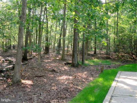 14 Gate Rd, Tabernacle, NJ 08088 photo 23