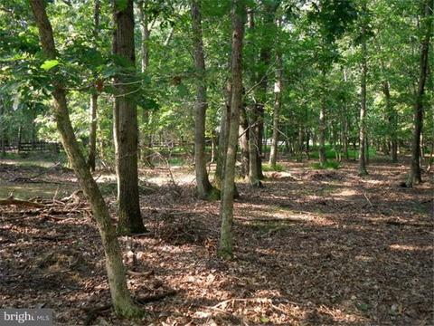 14 Gate Rd, Tabernacle, NJ 08088 photo 22