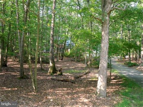 14 Gate Rd, Tabernacle, NJ 08088 photo 24