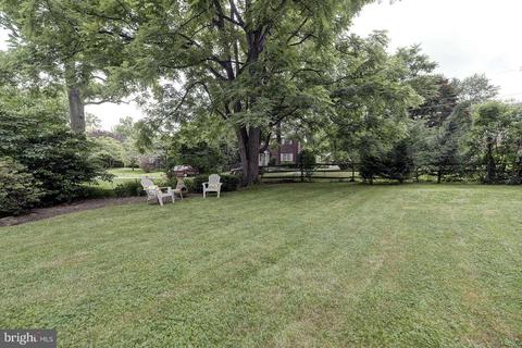 100 Hamilton Ave E, Silver Spring, MD 20901 photo 23