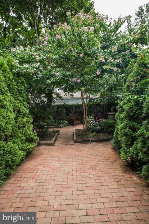 5 3rd St E, Frederick, MD 21701 photo 25