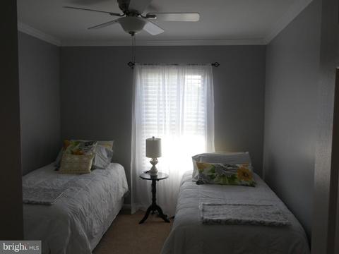 8610 Western Oak Dr, Springfield, VA 22153 photo 12