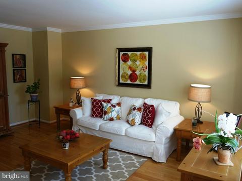 8610 Western Oak Dr, Springfield, VA 22153 photo 6