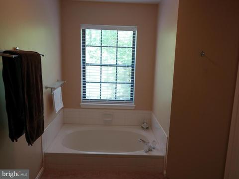 8610 Western Oak Dr, Springfield, VA 22153 photo 20