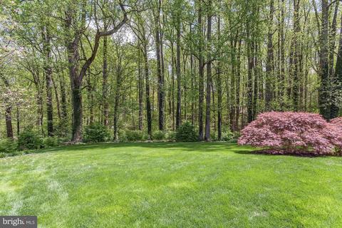 1133 Spring Hill Rd, Mclean, VA 22102 photo 5
