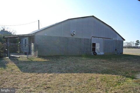 4445 Gadow Rd, Preston, MD 21655 photo 15