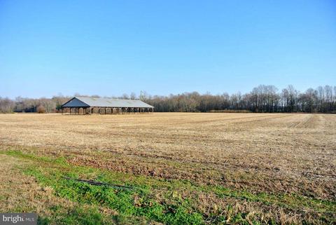 4445 Gadow Rd, Preston, MD 21655 photo 18