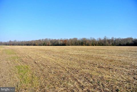 4445 Gadow Rd, Preston, MD 21655 photo 8