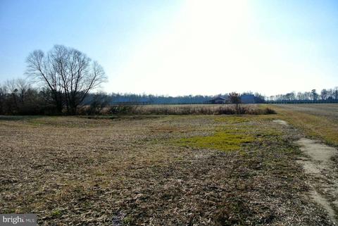 4445 Gadow Rd, Preston, MD 21655 photo 7