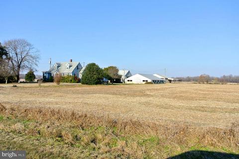 4445 Gadow Rd, Preston, MD 21655 photo 10