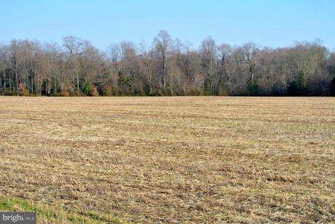 4445 Gadow Rd, Preston, MD 21655 photo 5