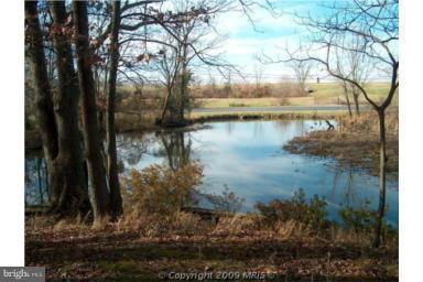 10741 River Rd, Denton, MD 21629 photo 13