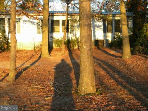 10741 River Rd, Denton, MD 21629 photo 23