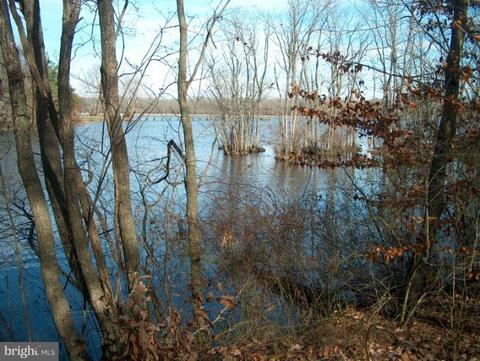 10741 River Rd, Denton, MD 21629 photo 14