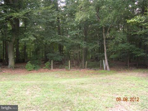 270 Meany Rd, Wrightstown, NJ 08562 photo 6