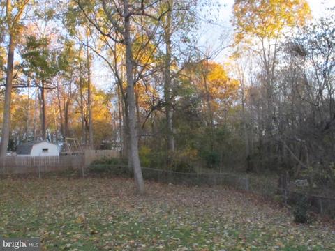 294 Burnside Dr, Falling Waters, WV 25419 photo 20