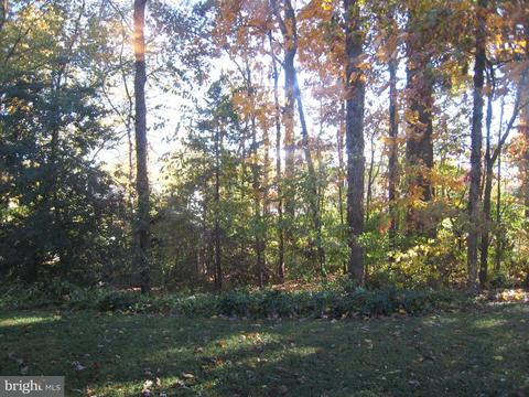 7523 Long Pine Dr, Springfield, VA 22151 photo 7