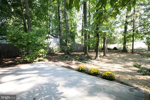 7525 Axton St, Springfield, VA 22151 photo 20