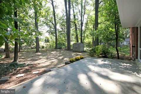 7525 Axton St, Springfield, VA 22151 photo 19