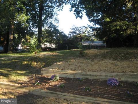 12023 Livingston St, Silver Spring, MD 20902 photo 13
