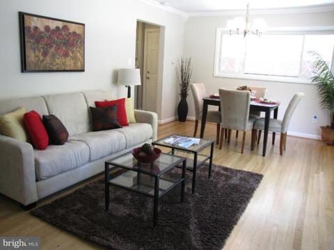 12023 Livingston St, Silver Spring, MD 20902 photo 4
