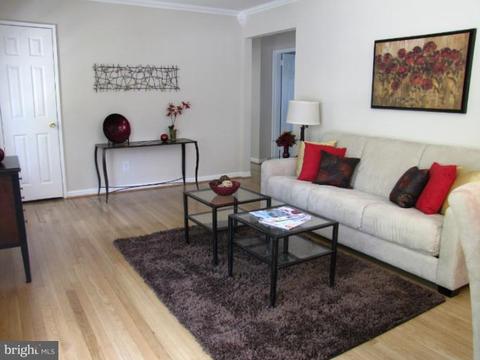 12023 Livingston St, Silver Spring, MD 20902 photo 6