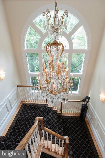 917 Whann Ave, Mclean, VA 22101 photo 7