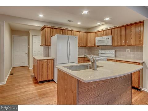 303 Applehouse Pond Dr, Chesterbrook, PA 19087 photo 13