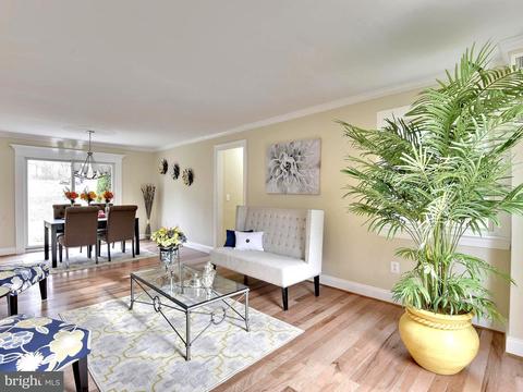 1106 Ednor Rd, Silver Spring, MD 20905 photo 1