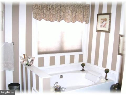 203 White Pine Ct, Bear, DE 19701 photo 11