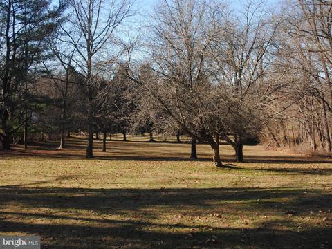 6716 Cherry Hill Rd, Baldwin, MD 21013 photo 5