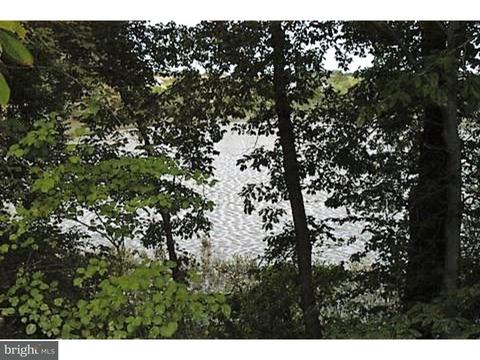 1185 Marl Pit Rd, Middletown, DE 19709 photo 1
