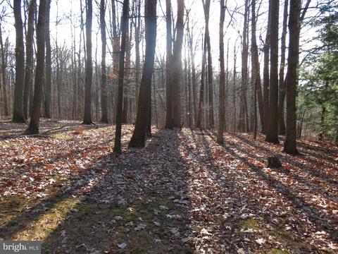 693 Arbor Dr, Westminster, MD 21158 photo 3