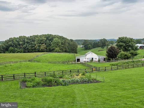 970 Oak Tree Rd, Westminster, MD 21157 photo 22